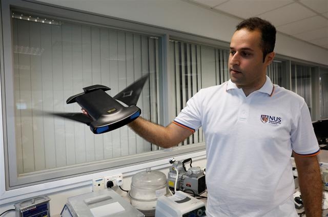 싱가포르국립대(NUS)의 한 연구원이 쥐가오리 로봇 ‘만타드로이드’를 선보이고 있다. REUTERS 연합뉴스