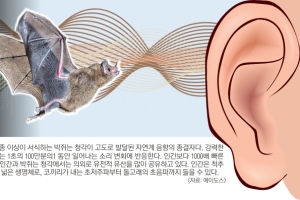 소리는 진화의 지렛대다