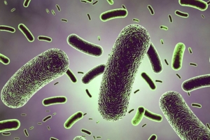 먹기만 했는데 주름이 없어지네