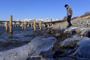 자연의 품으로 돌아간 이촌한강공원
