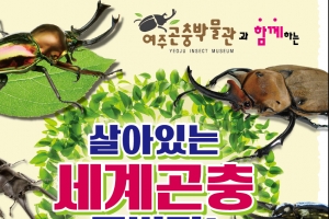 15cm 초대형 헤라클레스 장수풍뎅이 보러오세요