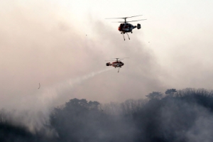 부산 기장군 삼각산에 산불, 30％ 진화…“100㏊ 피해 추정, 인명피해는 없어”