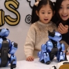 ‘로봇개’ 새해 인사