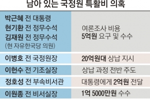 ‘특활비’ 큰 산 넘은 檢… 靑 여론조사 비용도 캔다