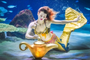 소원을 말해 봐