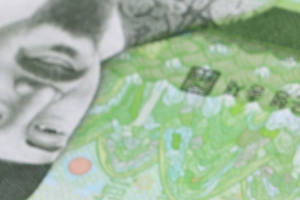 결혼빙자 18억 가로채 달아난 가족사기단 결국 덜미