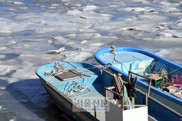 12일 인천 중구 예단포 선착장 인근 바닷물이 얼어 있다. 박윤슬 기자 seul@seoul.co.kr