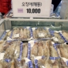 ‘金징어’ 된 오징어