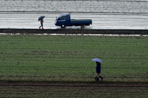 반가워 겨울비야
