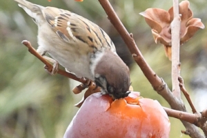 감~ 잡았어… 멈출 수 없어