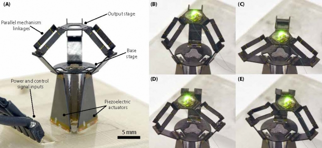 미국-한국 공동연구팀이 개발한 초미세 로봇팔의 모습 사이언스 로보틱스 제공