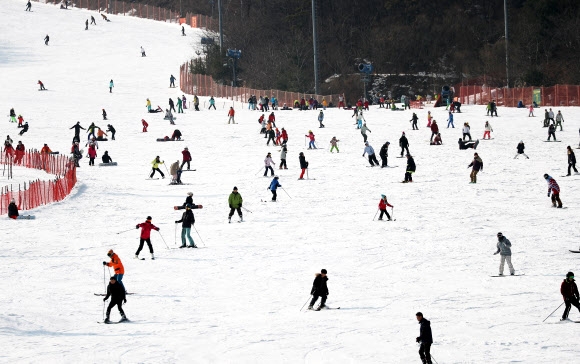 포근한 주말 붐비는 스키장