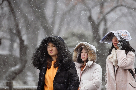 22일 서울에 많은 눈이 내린 가운데 서울 남산에서 시민들이 눈을 맞으며 걷고 있다.  정연호 기자 tpgod@seoul.co.kr