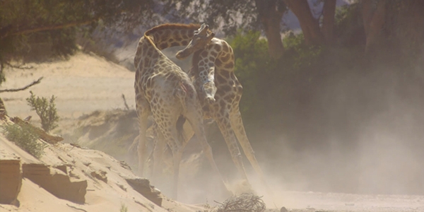‘지구: 놀라운 하루’ 예고편 한 장면.