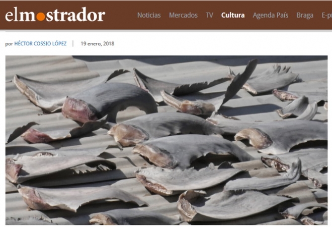 지난 19일 칠레 매체 엘 모스트라도르가 보도한 베트남대사관 지붕 위에 널려져 있는 상어지느러미들. [엘 모스트라도르 인터넷 페이지 캡처]