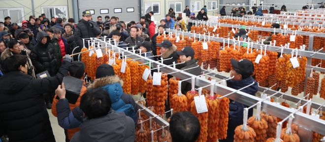 함양곶감 초매식 모습. 함양군 제공