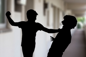 10개월 옆집 고성 시달리다 고무망치 휘두른 20대