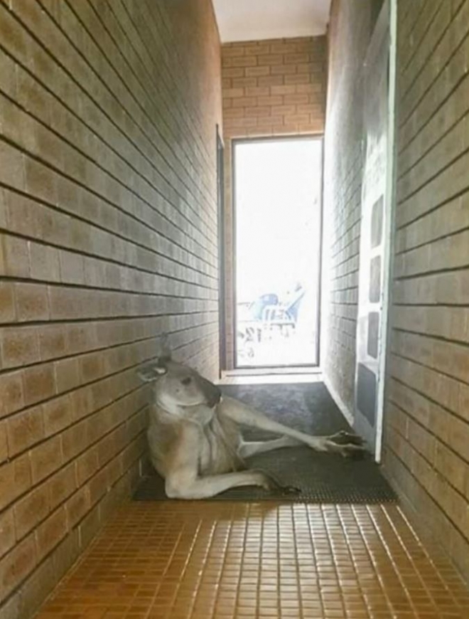 유튜브 영상 캡처