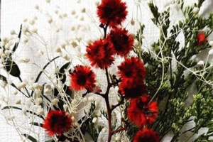 태양♥민효린 청첩장 공개, 꽃으로 장식된 소박한 디자인 ‘눈길’