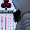 체온은 서베리아지만 마음은…