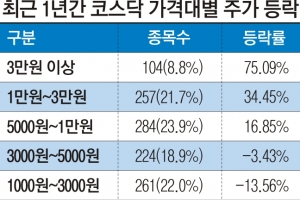 3만원 이상 대형주가 코스닥 ‘효자’