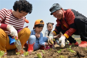 중랑천 텃밭 일구는  ‘도시 농부’ 도전하세요