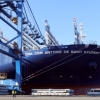 역대급 ‘큰 넘’이 부산항에 들어왔다