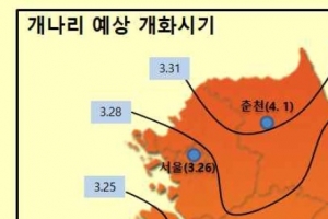 올해 봄꽃 나흘이나 빨리 피어요