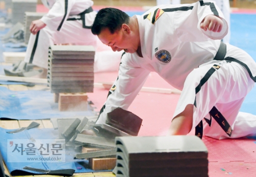 [서울포토] 격파 시범 보이는 북한 태권도 선수