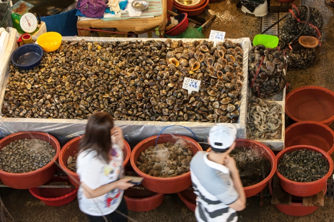 다양한 해산물을 맛볼 수 있는 서천특화시장.