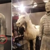 ‘진시황 병마용 손가락 절단’ 뿔난 中