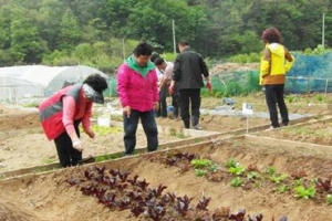 구로, 주말농장 도시농부 모집