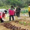 구로, 주말농장 도시농부 모집