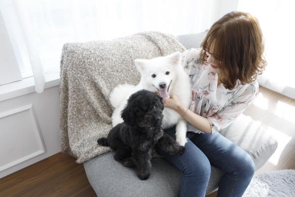 전문지식을 갖춘 전문 펫시터들을 연결해주는 펫플래닛 어플리케이션이 출시되어 반려족(반려동물을 키우는 사람)들에게 큰 관심을 받고 있다.