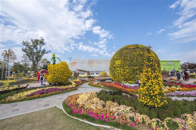가을철 화려하게 핀 각종 국화 모습. 순천시 제공