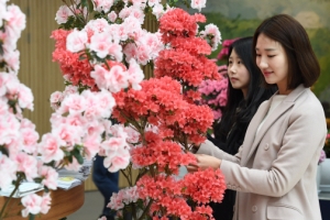 봄꽃이 피었다… 얼굴이 폈다