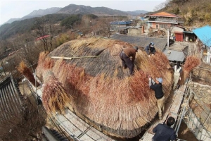 봄 맞아 새 지붕 얹은 함양한옥