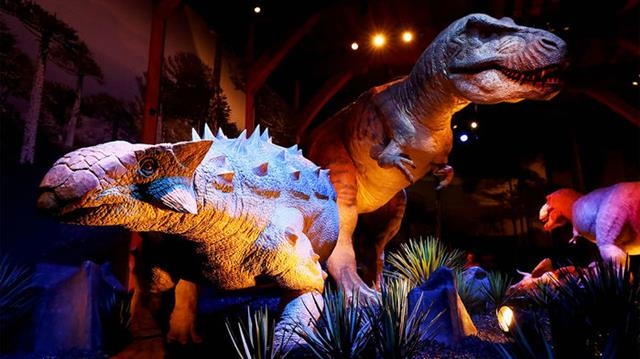 안킬로사우르스(왼쪽)는 온몸이 갑옷으로 덮여 있고 꼬리는 딱딱한 곤봉처럼 돼 있어서 티라노사우르스(오른쪽) 같은 육식공룡이 공격할 경우 몸을 웅크리고 있다가 꼬리를 흔들어 퇴치했을 것으로 추정되고 있다.  네이처 제공