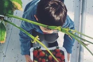 김효진, 훈훈한 아들 근황 공개 “딸기 좋아하는 수인이”