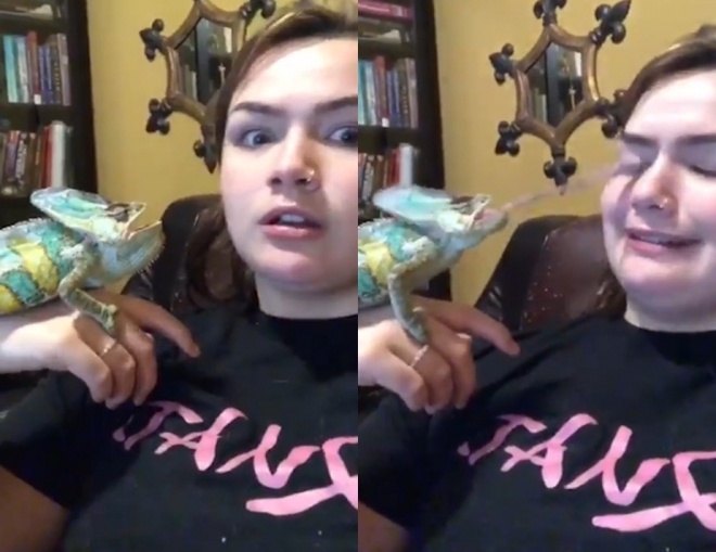 카멜레온 혀에 눈알을 잃을 뻔 한 소녀 모습(유튜브 영상 캡처)