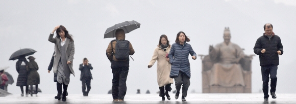 우산 없어도 반가운 봄비