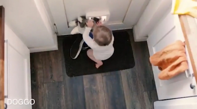 고양이 플랩 밖으로 허스키 모양의 개인형을 버리는 아이 모습(유튜브 영상 캡처)