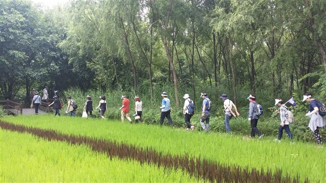 서울 송파구 도보관광코스 해설 프로그램에 참여한 주민들이 문화관광 해설사의 설명을 들으며 탐방을 하는 모습. 송파구 제공