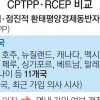 美 빠진 채 CPTPP 정식 서명… 정부 연내 가입 ‘저울질’