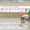 순천시, 올해 전국 첫 노지 모내기 실시