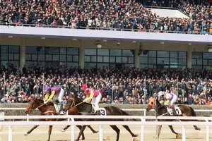 [생각나눔] 경기장 vs 장외발매소 ‘경마 레저세’ 갈등