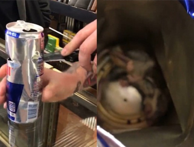 한 에너지 드링크 속에 죽은 쥐가 발견된 모습(유튜브 영상 캡처)