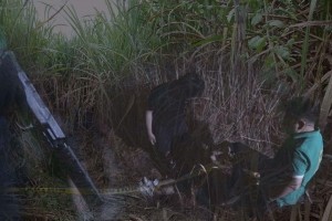 ‘그것이 알고싶다’ 사탕수수밭 살인사건의 비밀...138억의 행방은?