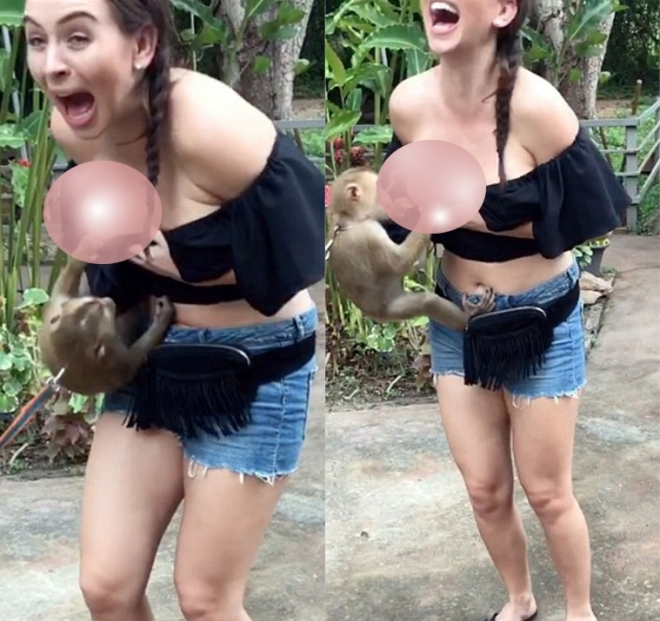 한 여성 관광객에게 못 된 손버릇 보인 응큼한 원숭이 모습(유튜브 영상 캡처)