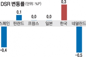 빚 잡을 ‘新규제 3종 세트’ 약발 낼까